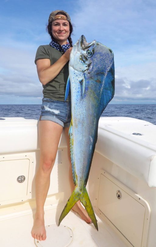 the-best-way-to-catch-dorado-fish the-best-way-to-catch-dorado-fish